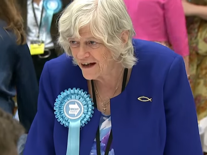Pro-Life Icon Ann Widdecombe Bludgeoned to Death by Left-Wing Terrorist